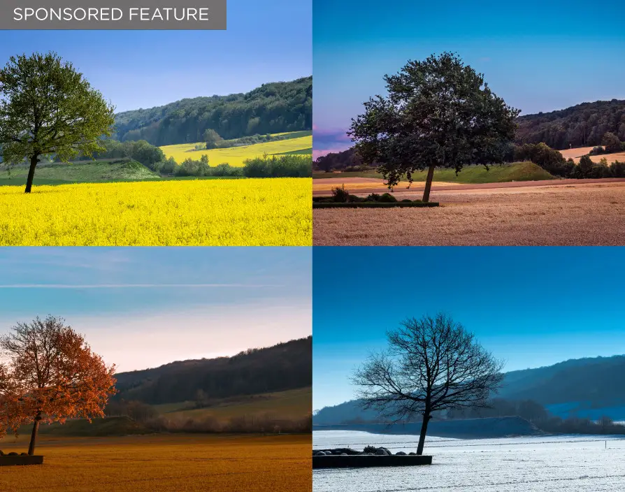 A franchise sector for all seasons