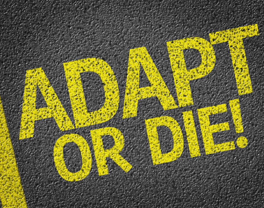 Adapt or die: 2020 a year of quick and harshly learnt lessons and what to take forward into 2021