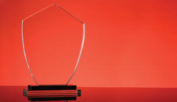 Cream of the crop: the advantages of franchise awards