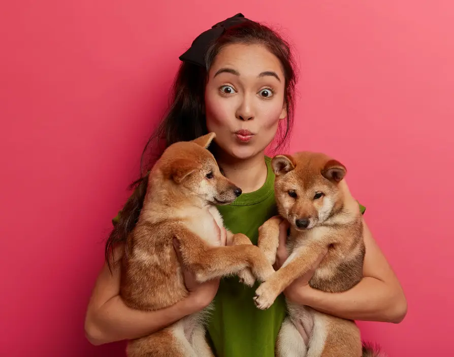 Double delight for Petpals