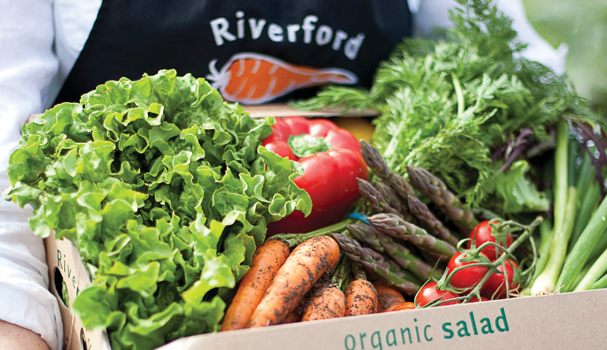 Franchise in the spotlight: Riverford Organic Farms