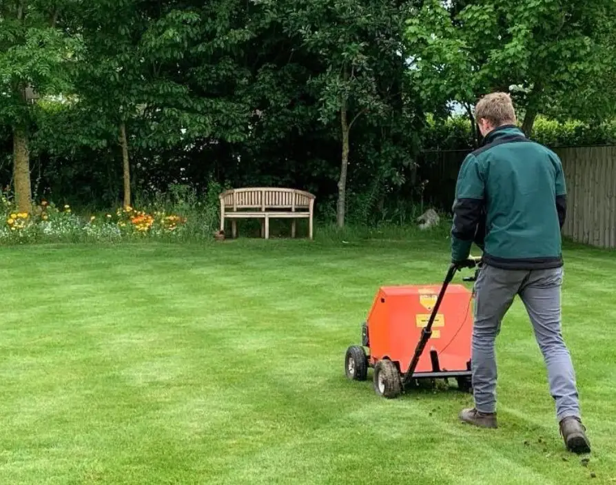 Greensleeves Lawn Care is the go-to company for your lawn.