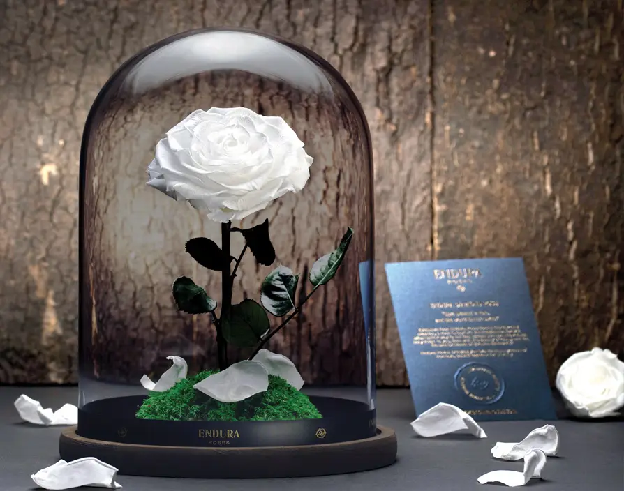 How Endura Roses is blossoming globally by preserving fresh flowers forever