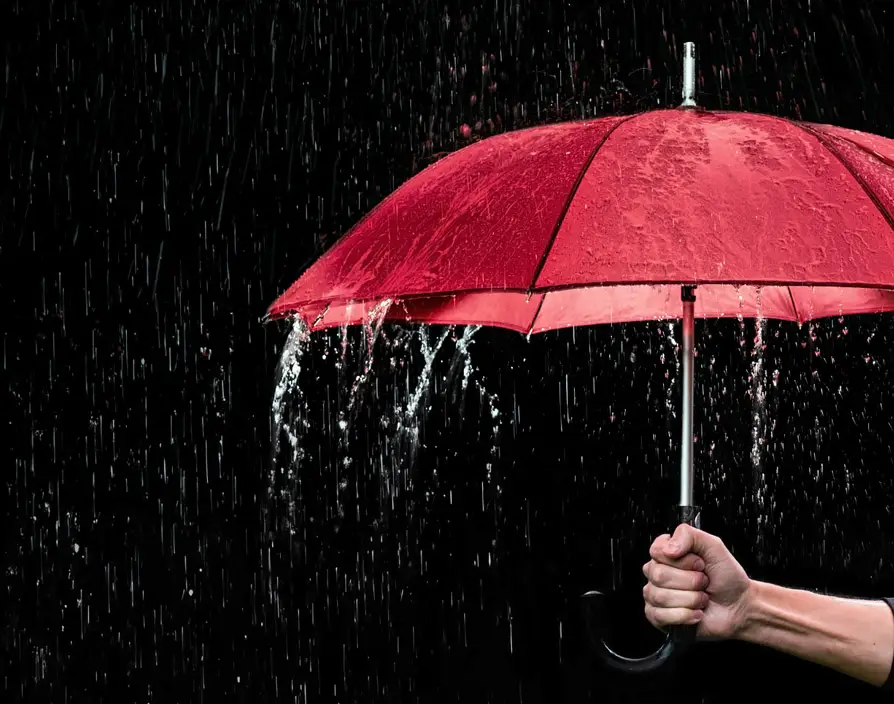 How to weather the challenges ahead