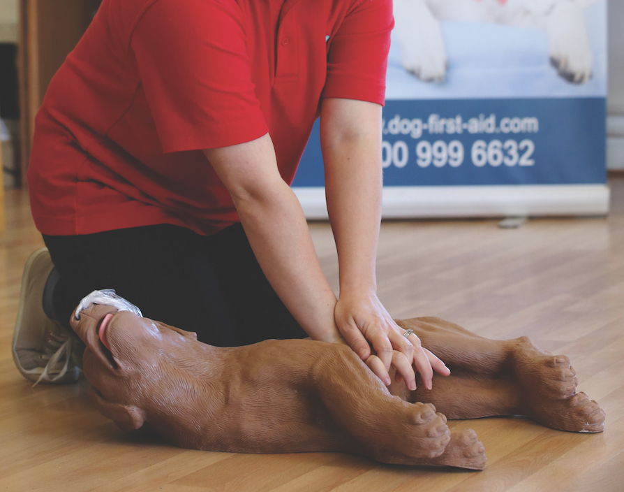 It became clear Dog First Aid was onto something when a client saved their pet’s life