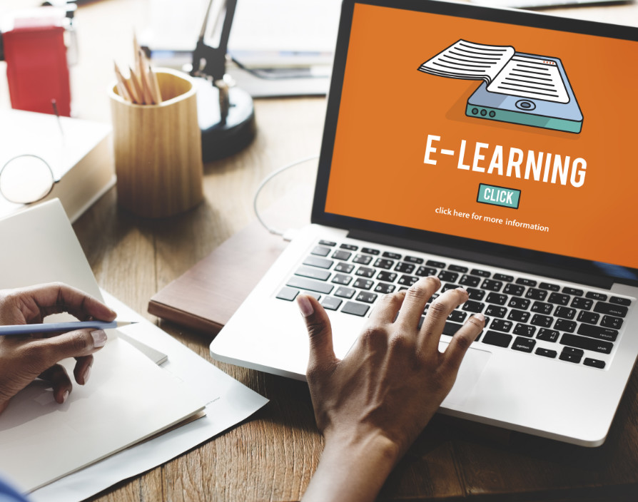 Launcing an e-Learning Franchise? Here's a practical guide to assist you along the way