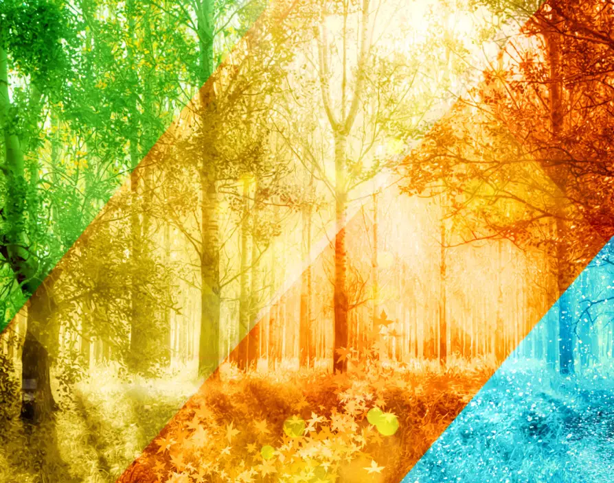 Outdoor franchises – more than just seasonal work