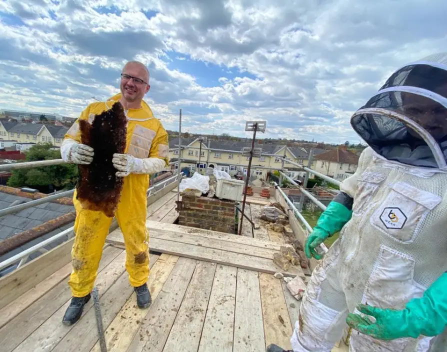 PGH Beegone unveil latest recruit