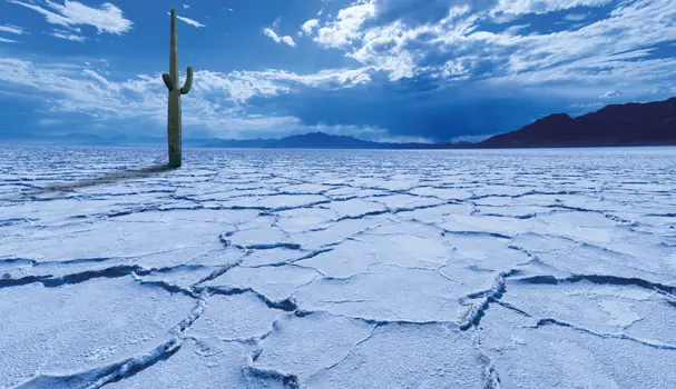 Running dry: surviving franchisor insolvency
