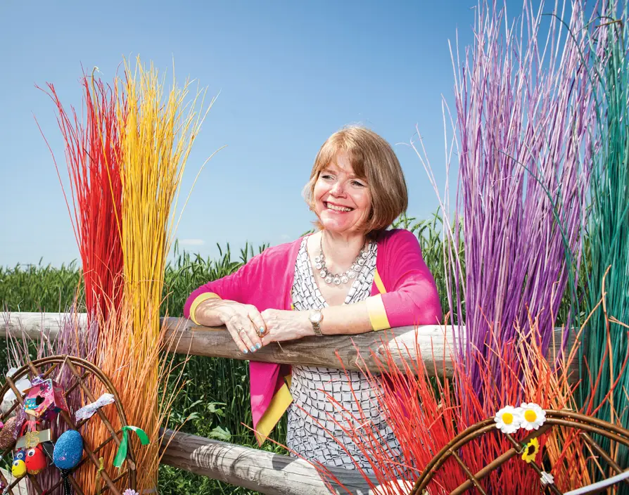 Sarah Cressall isn't afraid of colouring outside the lines