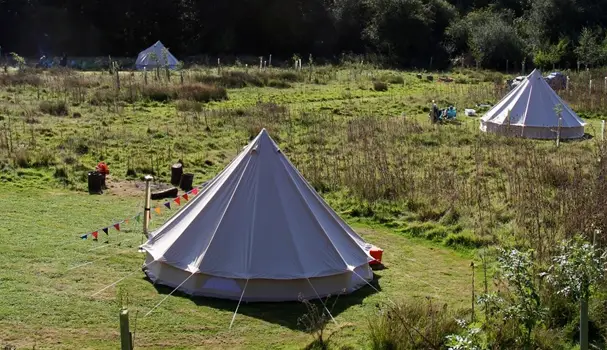 The Secret Campsite looks to franchise nationwide