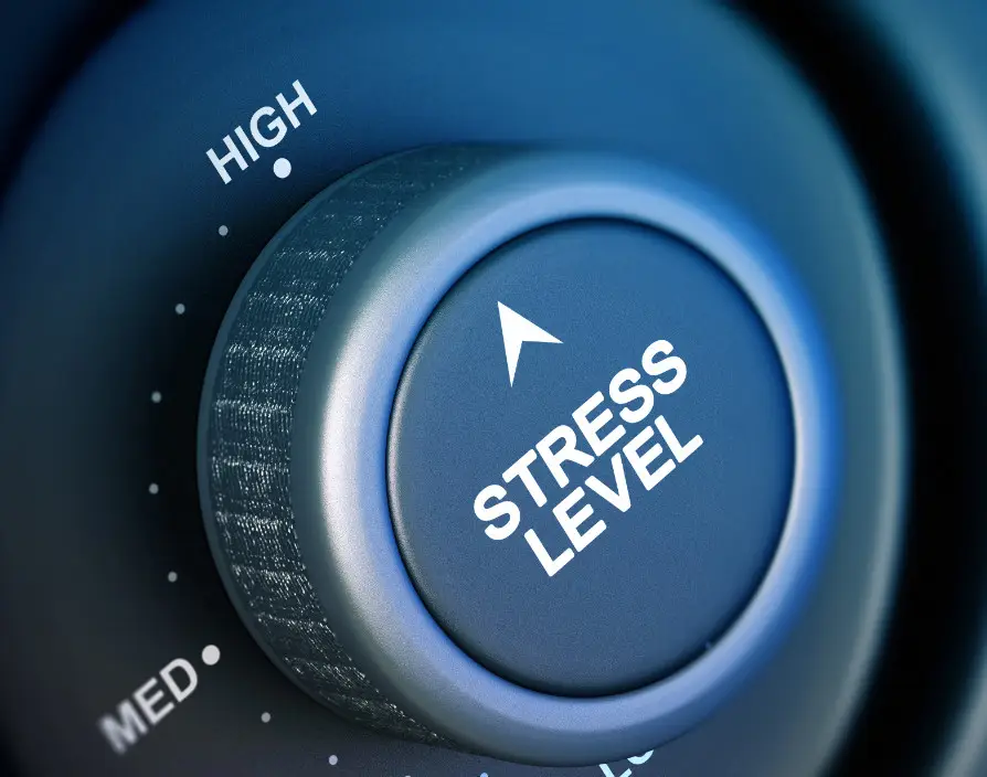 ‘Stress test’ for companies seeking to franchise their businesses