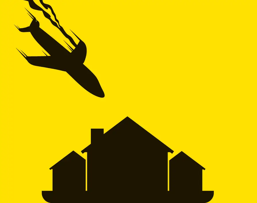 Surviving a plane crash inspired this franchisor to launch his network