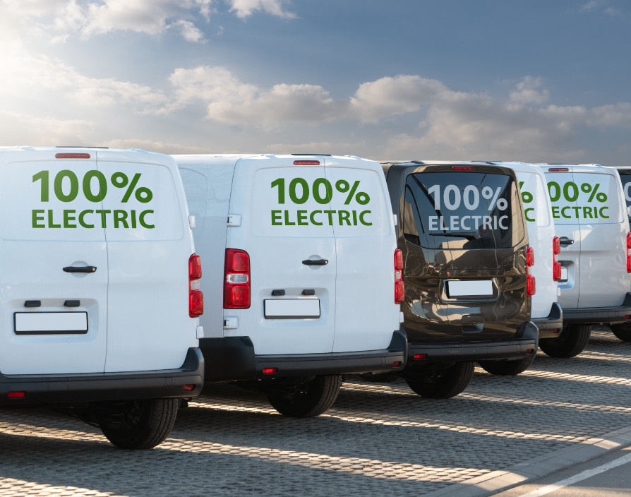 Thinking about the future of your franchise fleet? What impact will electric cars have on the environment