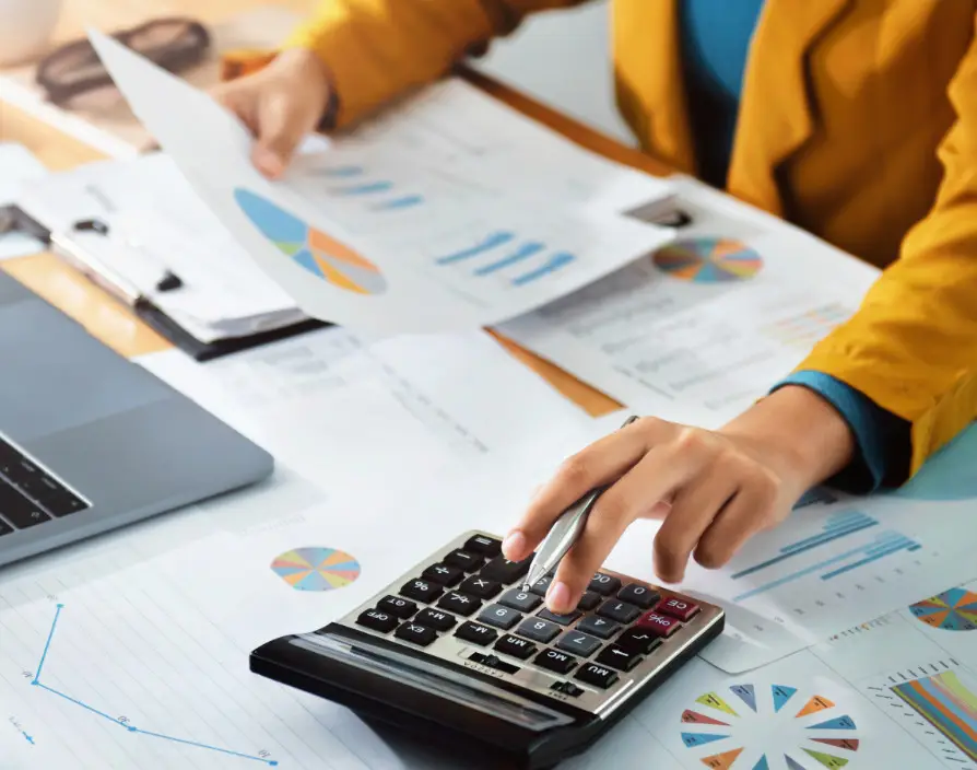 To Finance or not to finance