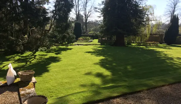 Tom Thumb Lawn Care is using tech to treat the UK’s turf
