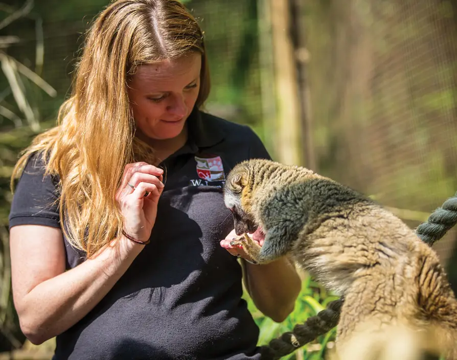 We Love Pets' Joanne Tomlinson loves caring for all creatures great and small