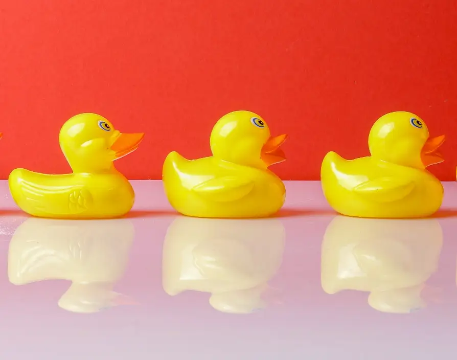 Getting your ducks in a row