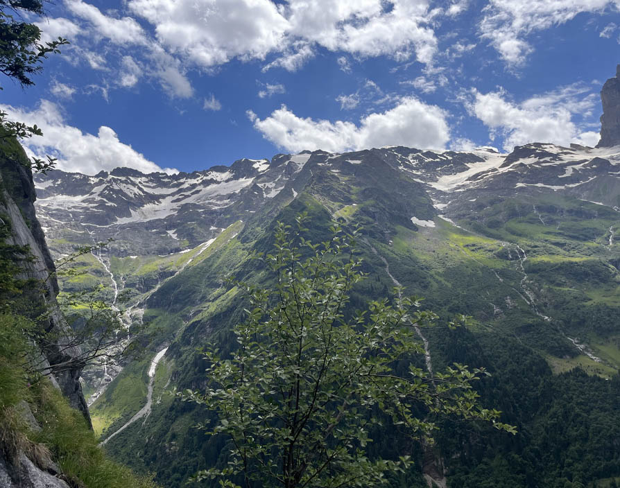 Discovering a connection between climbing in the Swiss Alps and franchising