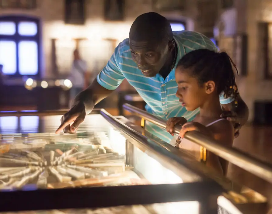 Fostering social diversity: How can visitor attractions create inclusive experiences?