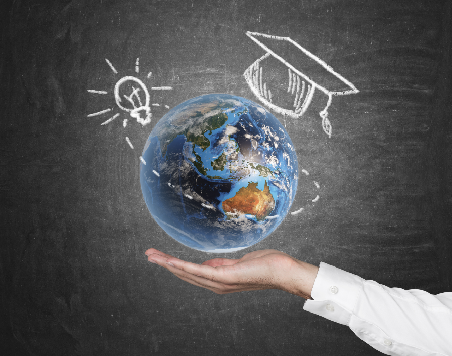 The role of education franchises in global learning
