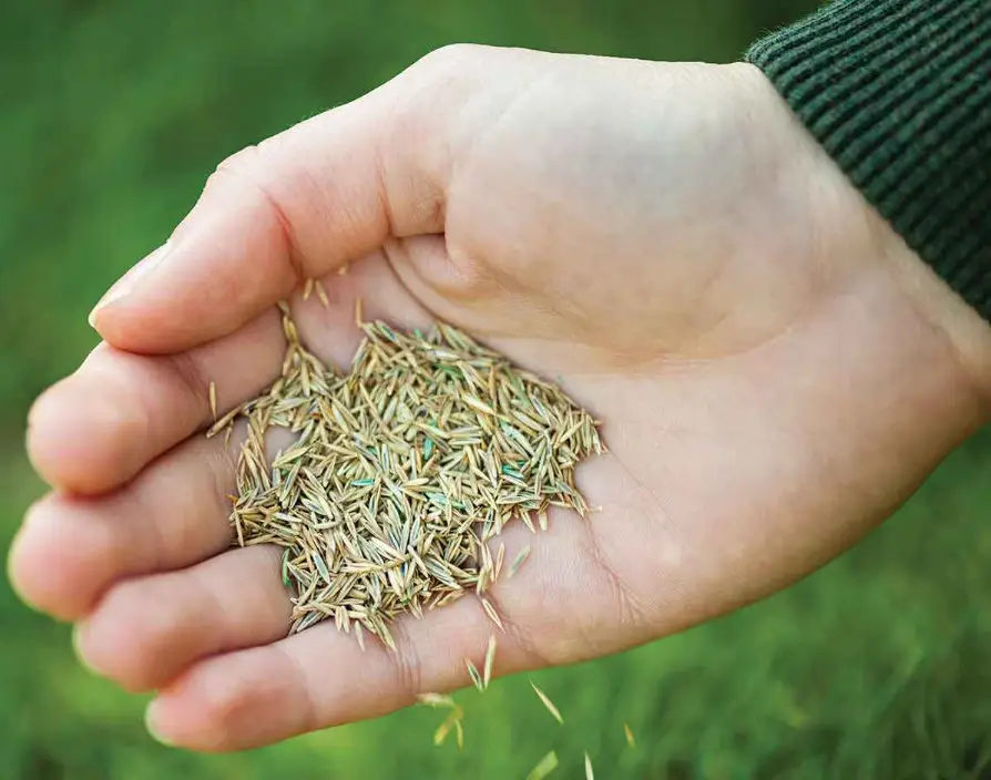 Growing Lawns: A Flourishing Market