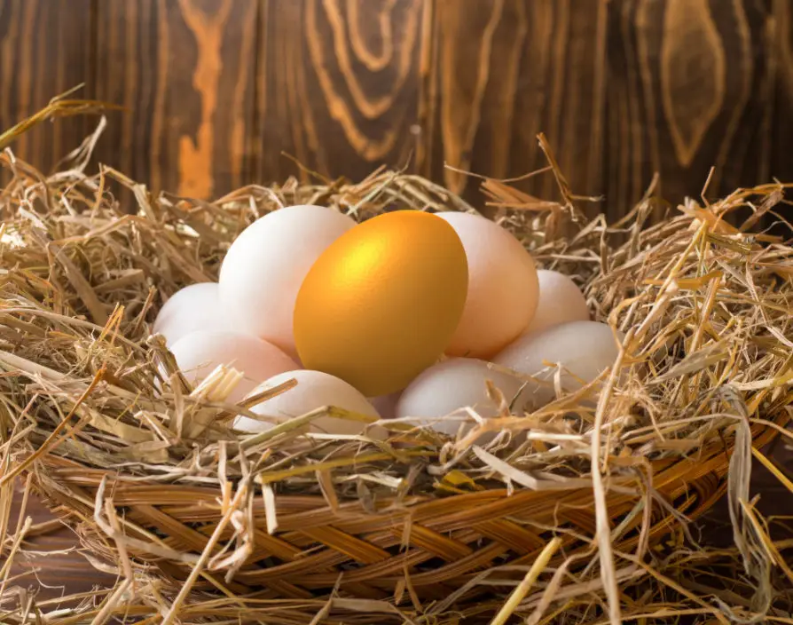 The investment potential of franchise ownership: Building a valuable asset
