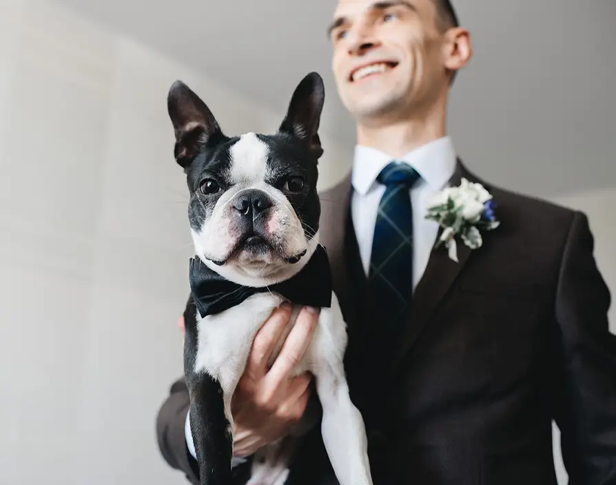 A diverse service paw-tfolio