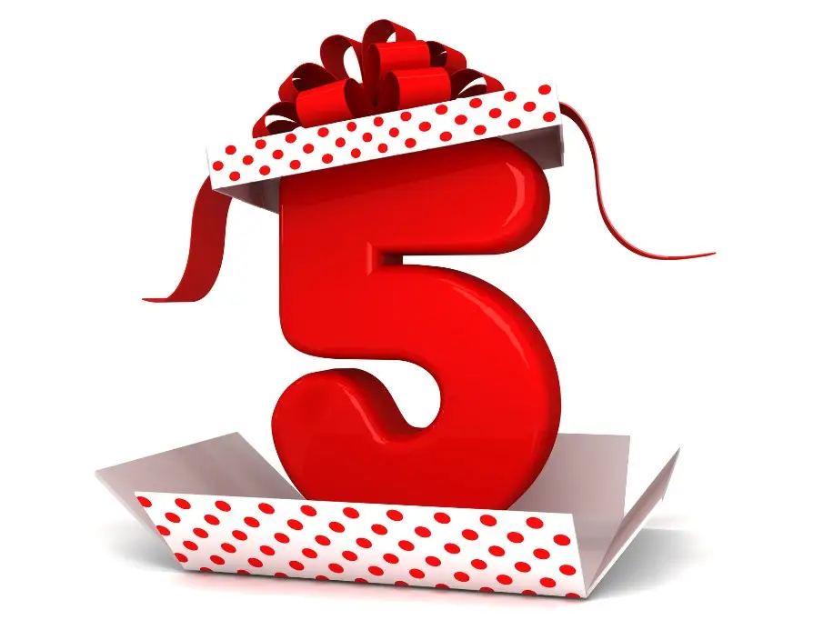 Experienced franchisor Ryan White, MD of pet care franchise, We Love Pets, describes the top 5 gifts potential franchisees can expect to receive when they buy a franchise in 2025.