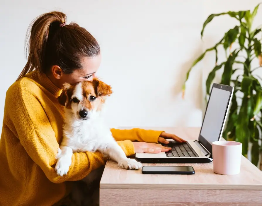 Here, Kevin Thackrah, Director of Petpals, explains why that triple bottom line of pets, purpose and profit can be the foundation of a business that truly delivers.
