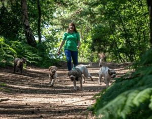 Petpals is celebrating 25 years in business. Kevin Thackrah on why franchise longevity is built on people, culture and supporting franchisees at every stage