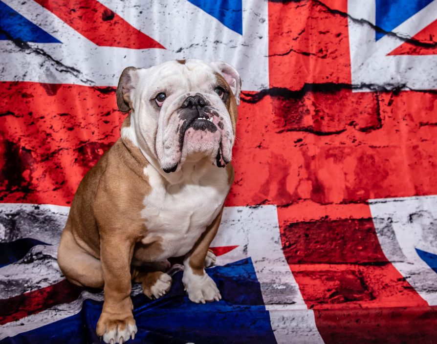 Nigel Toplis explores how greater awareness, education and support could unlock the potential of franchising in the UK and drive growth.