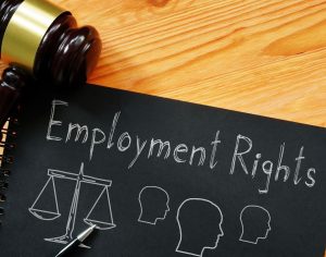 Alongside a tough economy and global uncertainty, employment law changes have dominated the SME landscape for more than a year.